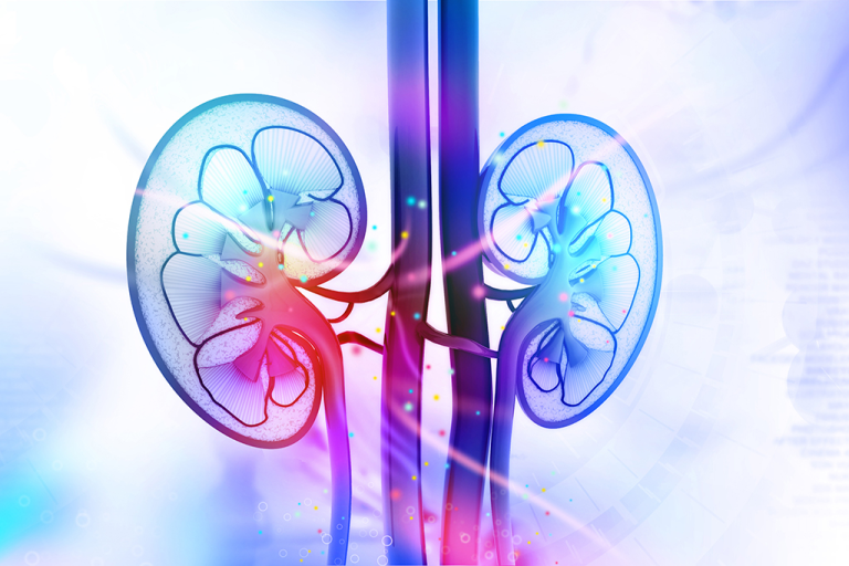 Resurgence in Drug Development for Renal Diseases